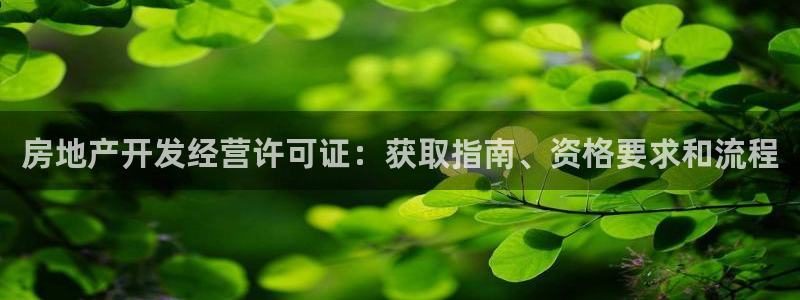 永利輸?shù)腻X可以弄回來嗎安全嗎