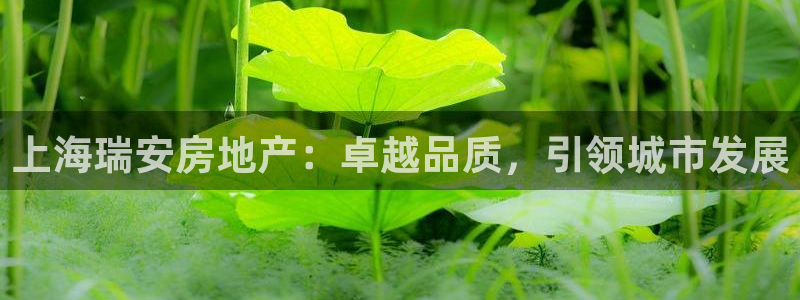 澳門 永利