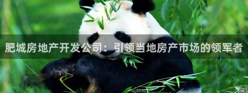 永利皮帶官網(wǎng)旗艦店