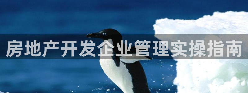 永利皮帶型號(hào)說明