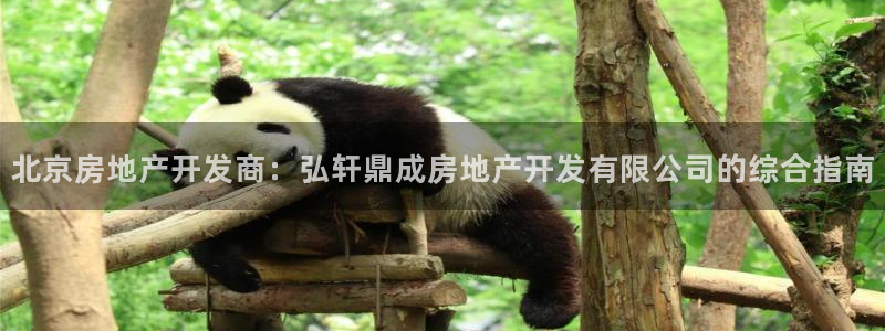 永利置業(yè)有限公司