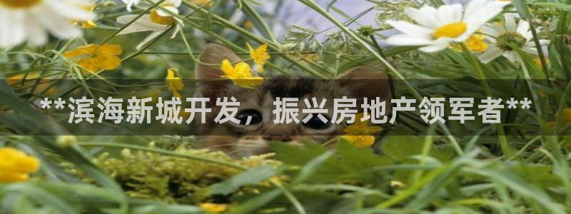 永利來織帶廠