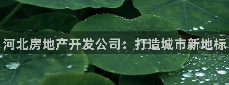 永利網(wǎng)絡(luò)科技有限公司