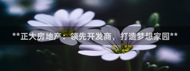 永利皇府黃立青簡歷