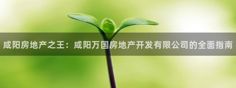永利充值第三方交易是什么