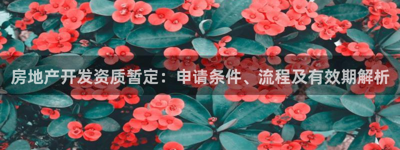 永利匯招聘