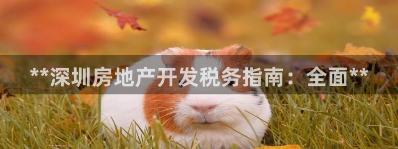 永利包裝有限公司
