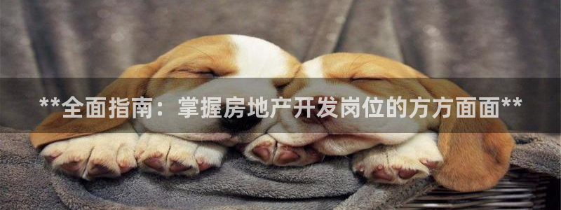 永利中國集團
