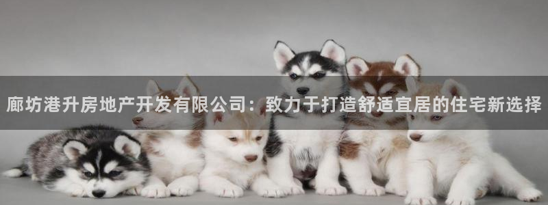 永利皮帶報(bào)價(jià)