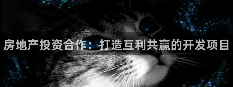 永利地產(chǎn)怎么樣