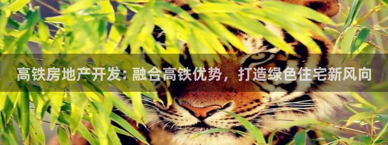 佛山永利工業(yè)皮帶